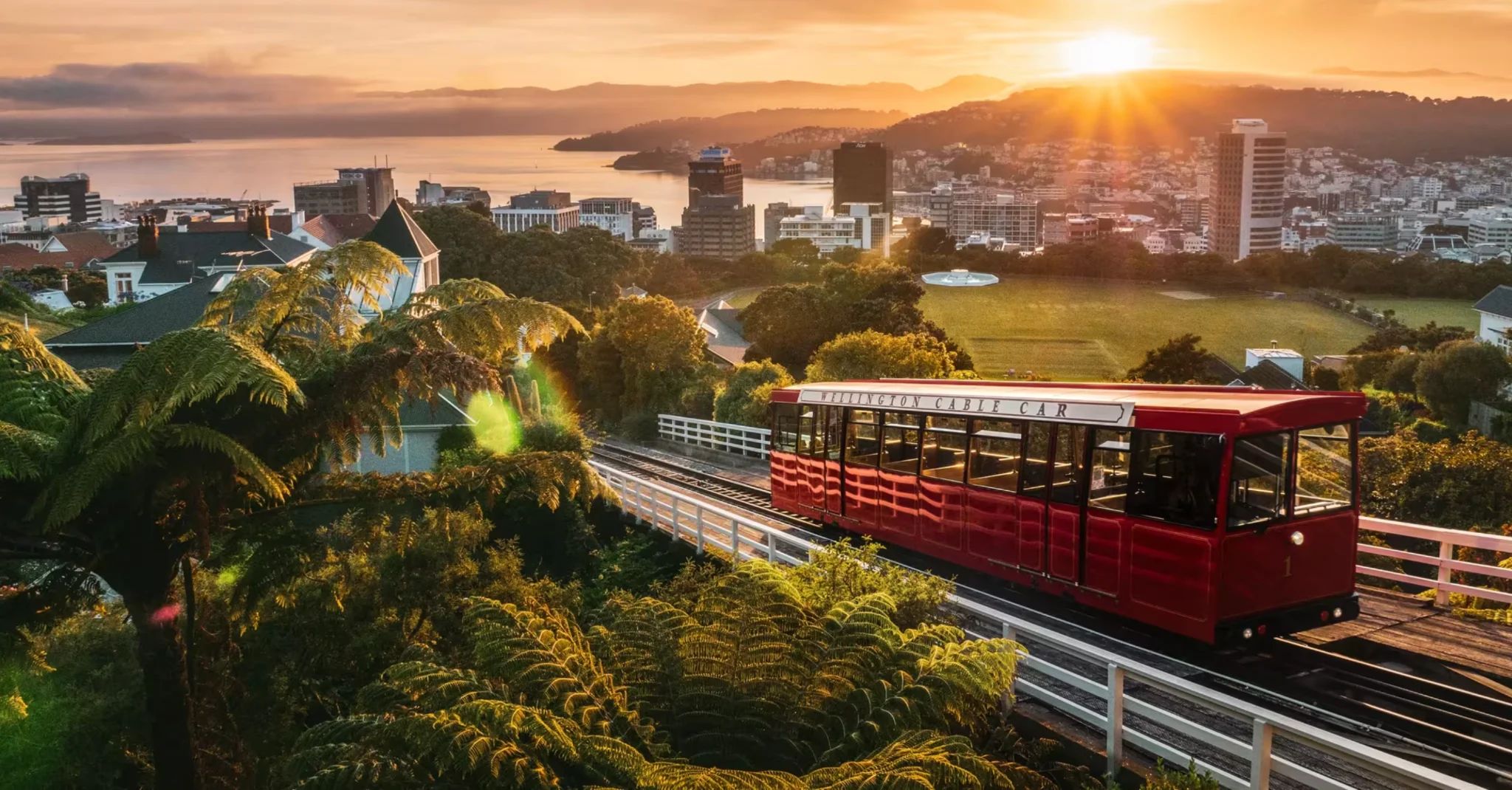 Wellington Cable Car overlooking the harbour and city at sunset
