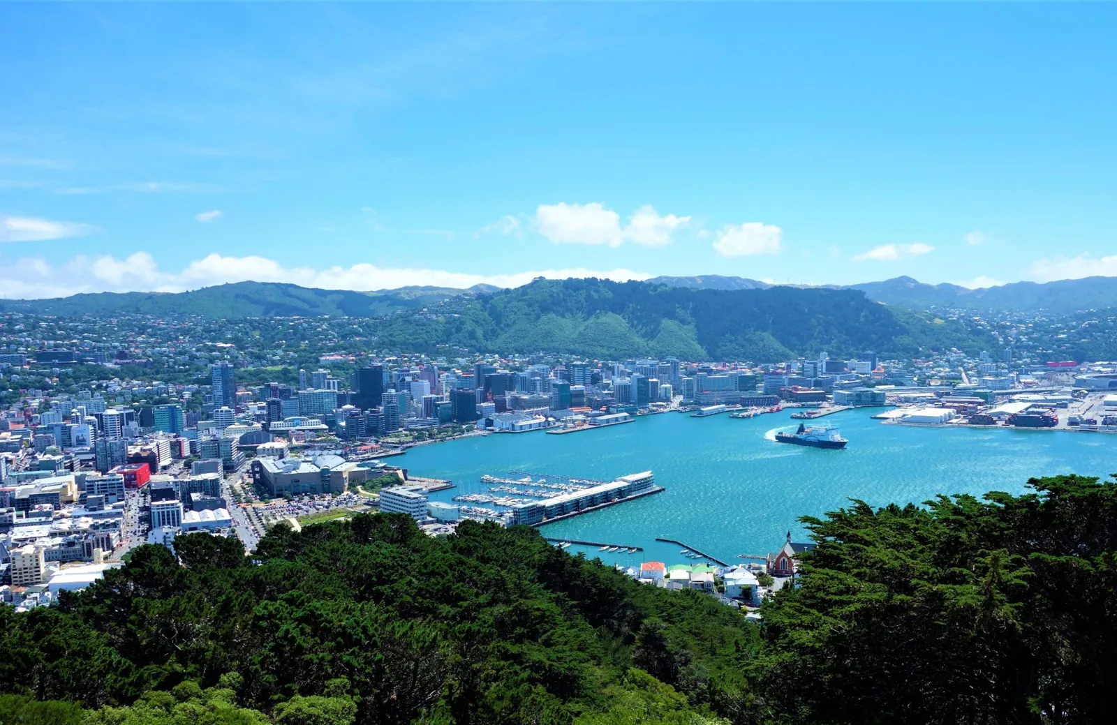 Wellington city and harbour viewed from the hillside